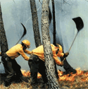 El 70% de los ayuntamientos carecen de planes de emergencia por incendios forestales