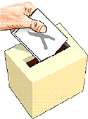 Nuevas Elecciones Locales