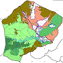 Urbanismo y autonomía municipal