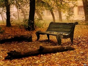 Otoño BANCO