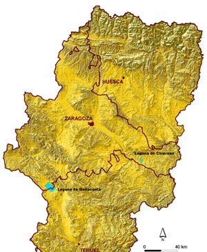 Ley de Contratos en Aragón