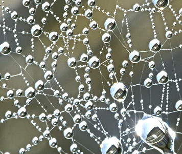 Agilidad y agilismo para la innovación pública