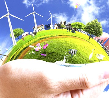 Coherencia tras las declaraciones ambientales