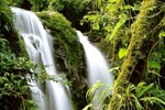 parque natural