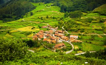 Mundo Rural