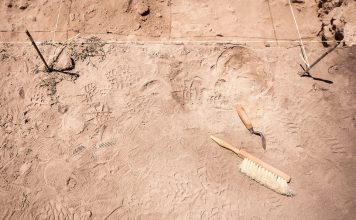 Excavación
