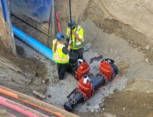 contratos domésticos