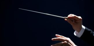 El director de orquesta en un entorno turbulento: Autonomía coordinada y policentricidad